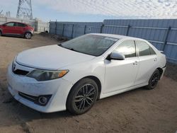 Salvage cars for sale at Adelanto, CA auction: 2013 Toyota Camry L