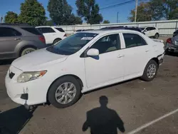 Salvage cars for sale at Moraine, OH auction: 2009 Toyota Corolla Base