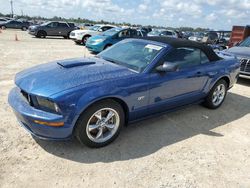 Salvage cars for sale at Arcadia, FL auction: 2007 Ford Mustang GT