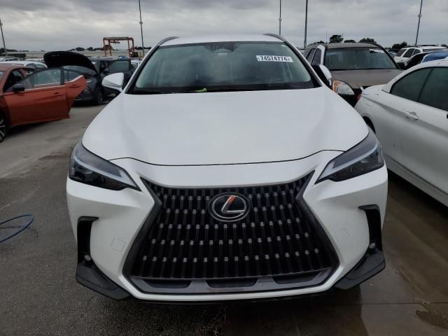 2023 Lexus NX 250