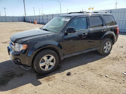 Ford salvage cars for sale: 2012 Ford Escape Limited