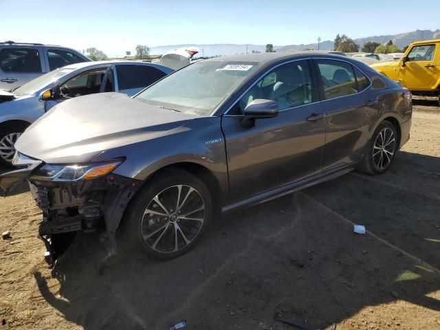 2019 Toyota Camry Hybrid