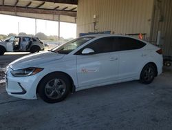 Flood-damaged cars for sale at auction: 2017 Hyundai Elantra ECO