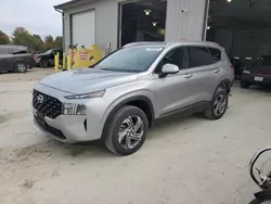 Salvage cars for sale at Columbia, MO auction: 2023 Hyundai Santa FE SEL