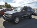 2003 Chevrolet Trailblazer