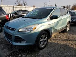 Salvage cars for sale at Lansing, MI auction: 2013 Ford Escape SE