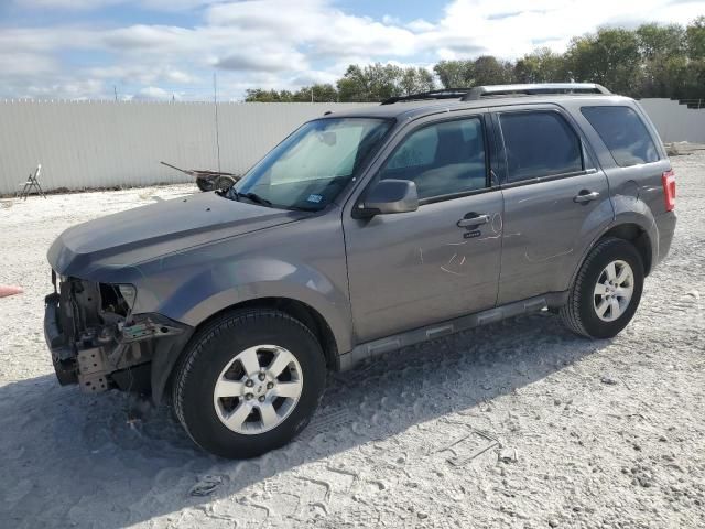 2010 Ford Escape Limited