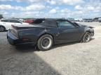 1991 Pontiac Firebird Trans AM