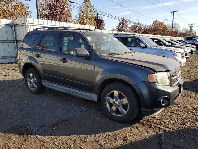 2009 Ford Escape XLT