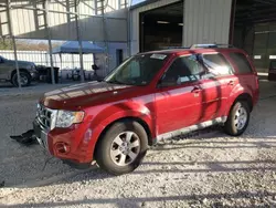 Salvage cars for sale at Rogersville, MO auction: 2009 Ford Escape Limited