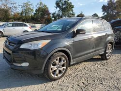 Salvage cars for sale at Hampton, VA auction: 2013 Ford Escape SEL