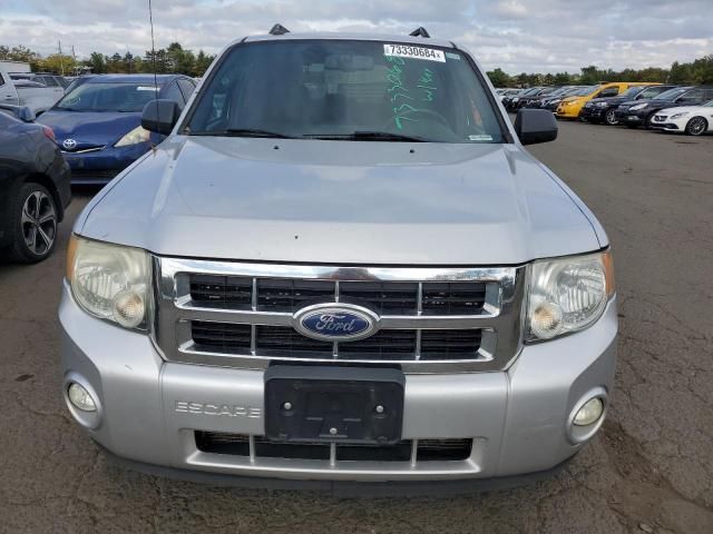 2011 Ford Escape XLT