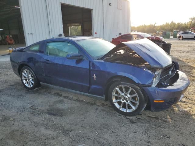 2010 Ford Mustang