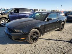 2010 Ford Mustang en venta en Antelope, CA