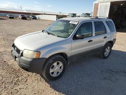 2003 Ford Escape XLT en venta en Rapid City, SD