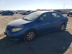 Toyota Vehiculos salvage en venta: 2009 Toyota Corolla Base