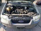 2005 Ford Escape XLT