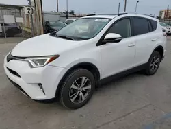 Toyota salvage cars for sale: 2016 Toyota Rav4 XLE