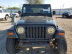 1999 Jeep Wrangler / TJ Sport