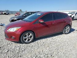 Salvage cars for sale at Earlington, KY auction: 2014 Ford Focus SE