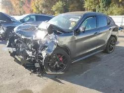 Salvage cars for sale at Glassboro, NJ auction: 2021 Alfa Romeo Stelvio TI