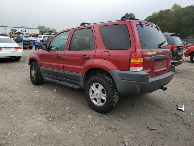 2003 Ford Escape XLT