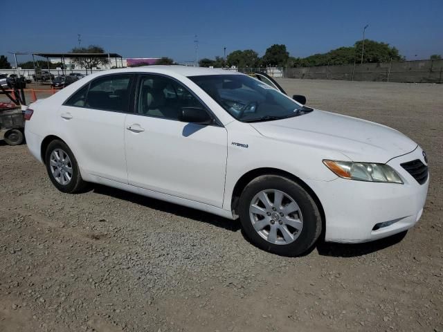 2008 Toyota Camry Hybrid