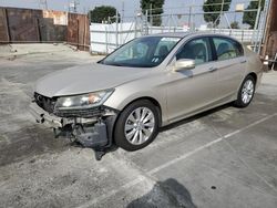 Vehiculos salvage en venta de Copart Wilmington, CA: 2014 Honda Accord EXL