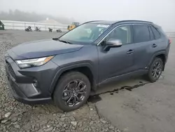 Toyota salvage cars for sale: 2024 Toyota Rav4 XLE Premium