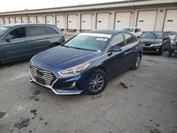 Salvage cars for sale at Louisville, KY auction: 2019 Hyundai Sonata SE