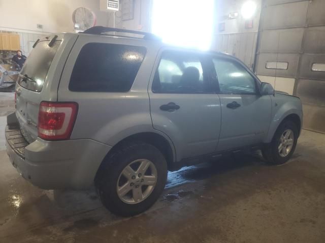 2008 Ford Escape HEV