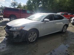 Lexus Vehiculos salvage en venta: 2013 Lexus ES 350