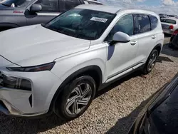 2022 Hyundai Santa FE SEL en venta en Arcadia, FL