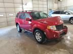 2008 Ford Escape Limited