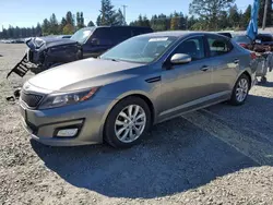 Salvage cars for sale at Graham, WA auction: 2015 KIA Optima LX