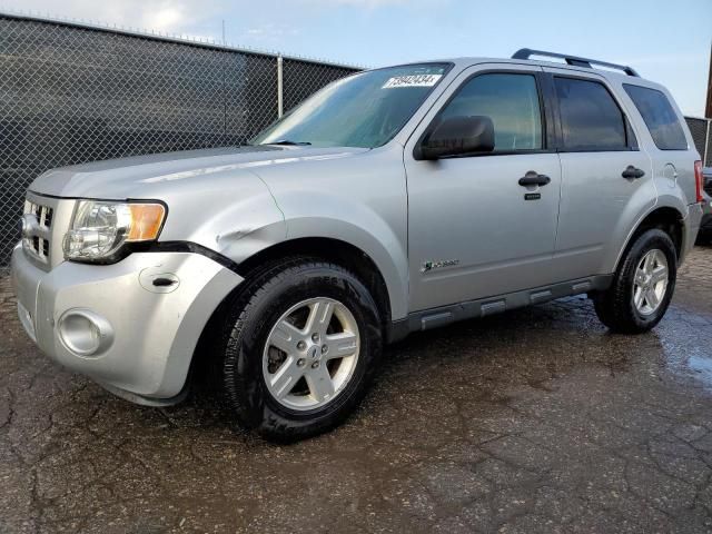 2010 Ford Escape Hybrid