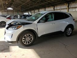 Salvage cars for sale at Phoenix, AZ auction: 2022 Ford Escape SE