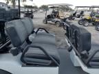 2022 Aspt Golf Cart