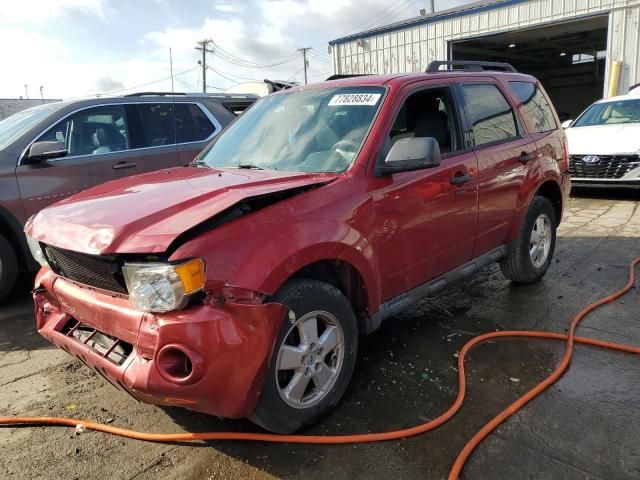 2011 Ford Escape XLT