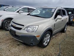 Salvage cars for sale at Arcadia, FL auction: 2013 Chevrolet Captiva LS