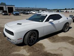 Salvage cars for sale at Gaston, SC auction: 2016 Dodge Challenger SXT