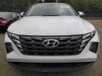 2023 Hyundai Tucson SEL Convenience