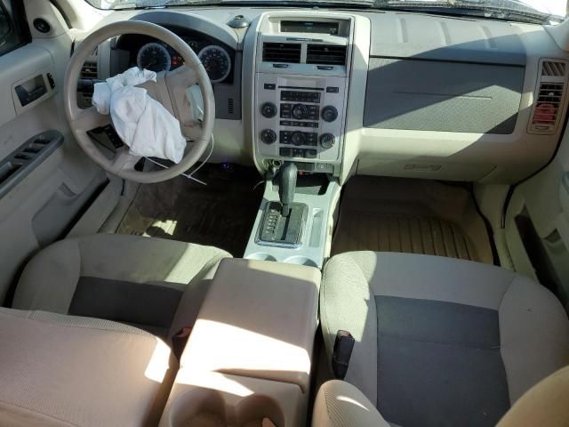 2008 Ford Escape XLT