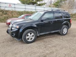 Salvage cars for sale at Davison, MI auction: 2012 Ford Escape XLT