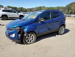 Salvage cars for sale at Ham Lake, MN auction: 2021 Ford Ecosport SE