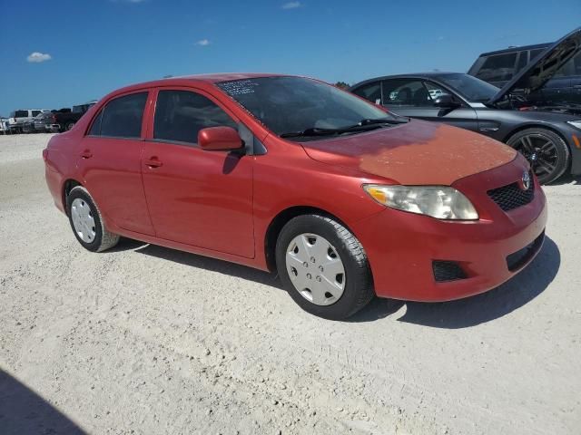 2010 Toyota Corolla Base