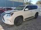 2020 Lexus GX 460 Premium