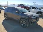 2017 Jeep Cherokee Trailhawk