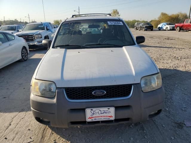 2002 Ford Escape XLT