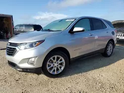 Salvage cars for sale at Arcadia, FL auction: 2019 Chevrolet Equinox LT